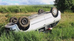 Hyeny! Ujedou od každé šesté nehody, nechávají za sebou oběti