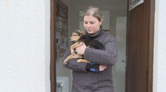 Chtěla dcerce pořídit štěně. Místo toho žena přišla o desetitisíce