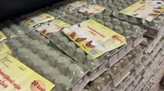 Vánoce se prodraží. Cena vajec trhá rekordy, připlatíme si i za maso a kakao