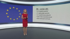 Od vstupu Česka do EU uplyne 20 let. Členství přináší výhody i nevýhody