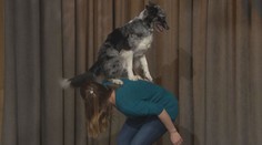Máte doma psa? Naučte ho dog dancing, je to pro každého, říká trenérka