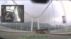 Sjel řidič s autobusem z mostu schválně? Analýza to naznačuje