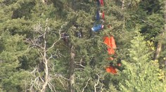 Přistál na stromě. Paraglidista čekal na pomoc tři hodiny