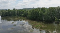 Teplice zaplatily miliony za odbahnění rybníka. Rybáři musí řešit nečekaný problém