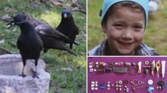 Jako Popelka: Gábinka (8) krmí vrány, ty jí za to nosí dárky! VIDEO
