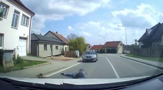Dvanáctiletý chlapec na Brněnsku skočil přímo před auto. Policie zveřejnila video