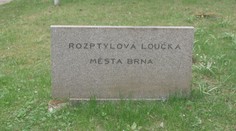 V Brně se bouří kvůli úpravám hřbitova. Vedení proto zve veřejnost k debatě