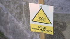 Muži vadil sousedův pes. Na zahradu mu dal neznámou látku, případ řeší policie