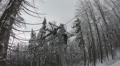 Na lanovku spadl strom, pryč musela stovka lidí. Vyšetřování skončilo