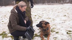 Drsná služba psů u Vojenské policie: Kynolog popsal, jak vypadá psí důchod