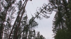 VÝSTRAHA ČHMÚ: Na severu bude foukat silný vítr, varují meteorologové