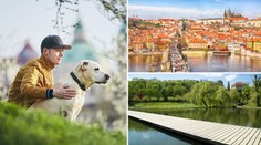 Praha je město s nejlepší kvalitou života, ukazují statistiky