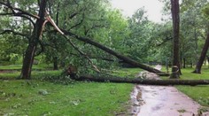 Bouře poničila stromy v parku v Heřmanově Městci. Museli ho zavřít