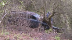 Řidič nechal nabourané auto v příkopu. Zarůstá křovím a město řeší, co s ním