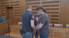 Muž podle soudu ubodal manželku na procházce se psem. Dostal 17 let