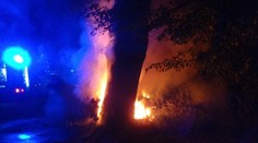 Auto po nárazu do stromu zachvátily plameny! Řidič uvnitř uhořel