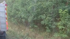 Hasiči po 20 hodinách boje s ohněm: Tohle foto mluví za vše