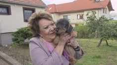 České celebrity si naplno užívají léto. Podívejte se, kde tráví dovolenou