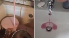 Místo vody teklo z kohoutku šumivé víno! Místní ho rychle chytali do lahví