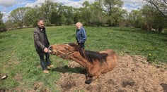 Panu Koubkovi někdo ukradl cenného koně. Bojím se, aby neskončil v salámu, pláče