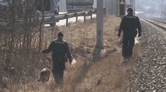 Ve Dvoře Králové pátrají policisté po seniorce. Nezvěstná je už čtvrtý den