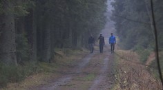 Do některých lesů se nesmí chodit. Může za to orkán Ignác