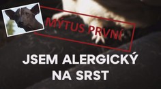 VÍKEND: Mýty o alergii na zvířata