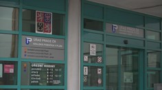 V Česku ubývá nezaměstnaných. Bez práce je 231 tisíc lidí