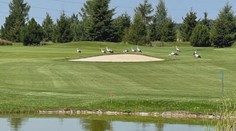 Ojedinělá podívaná v Mladé Boleslavi! Několik čápů tam "hrálo" golf