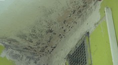 Dana a Mirek žili devět let v plísních. Do lepšího jim pomohl darem soused