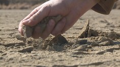Vyprahlá půda a extrémní vedra. Českou republiku opět trápí sucho