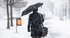 Vrátí se ještě mrazy a chumelení? Meteorologové mají jasno