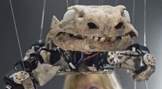 VIDEO: Vědci postavili prehistorického obojživelníka