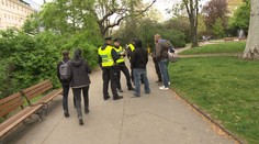 Výsledky pochodu za marihuanu: Přes 100 přestupků, 2 zatčení