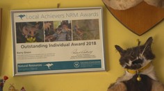 Australané zabíjí přemnožené divoké kočky