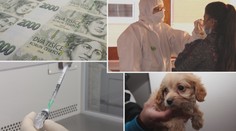 Více peněz na výplatní pásce i bič na množírny. ZMĚNY OD ÚNORA