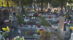 Letošní Dušičky se výrazně prodraží. Panuje nedostatek smutečných květin