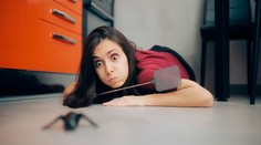 Jak se doma zbavit pavouků? Existují na to čtyři jednoduché triky