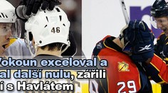NHL: Vokoun exceloval a vychytal další nulu, zářili i Krejčí s Havlátem