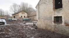 Dohra týrání zvířat v Kovářově: Lidé chtějí konec ředitelky veterinární správy