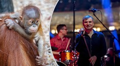 Podpořte zoo!