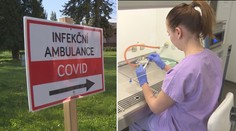 Testovat budou i praktičtí lékaři, navrhl Prymula. Chce 80 tisíc testů denně