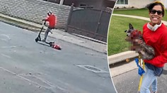 Žena táhla psa za koloběžkou. Zkrvavené zvíře zachránili lékaři