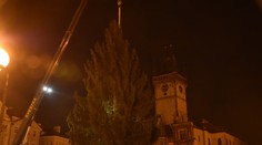 Vánoční strom dorazil do Prahy, rozsvítí se 26. listopadu