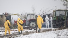 V Německu propukla nová nákaza. Virus se v Česku neobjevil už půl století