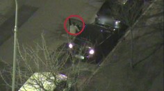 Opilá žena chtěla odjet autem, strážníci ji zadrželi po pár metrech