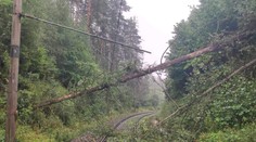 Českem se prohnaly bouřky. Popadané stromy zkomplikovaly provoz na dráze