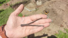 Historický nález v Polsku. Mohlo to patřit Koperníkovi, jásají archeologové
