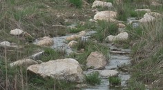 Přibývá projektů pomáhajících přírodě zvládat sucho. Jeden je u Tábora