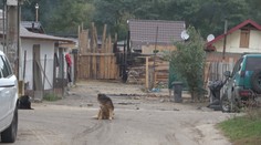 Válka romských klanů! Létající kameny, zápalné lahve i střelba!